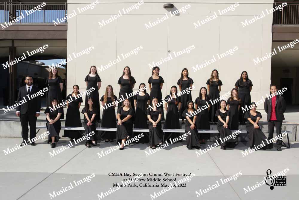 Musical Images